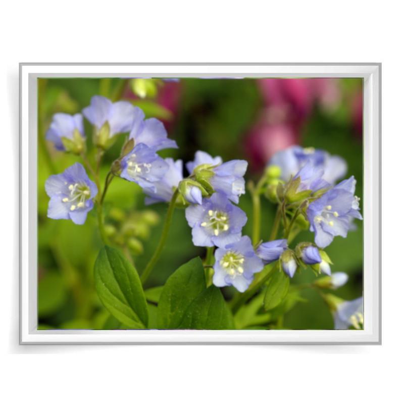 Beauty of the Brandywine Notecard Set